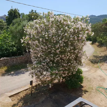 Holiday home Stazzu Lu Bulioni