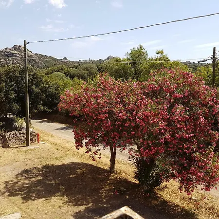 Holiday home Stazzu Lu Bulioni *